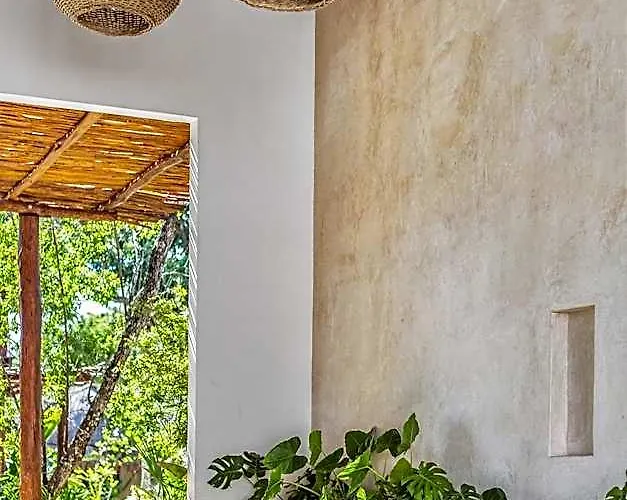 Hotel Zenses Wellness&yoga - Adults Only Tulum