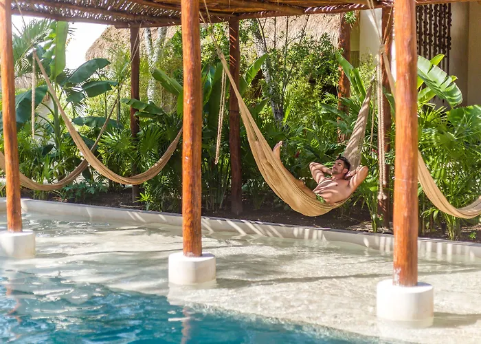 Zenses Wellness And Yoga - Adults Only 4*